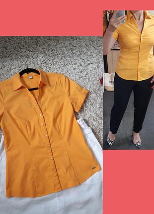 Базовая хлопковая блуза короткий рукав,s'oliver,  p.38-40