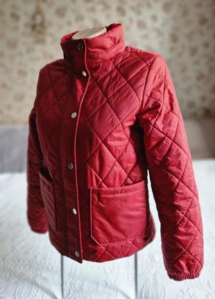 Жіноча стьобана легка утеплена куртка levis1 фото