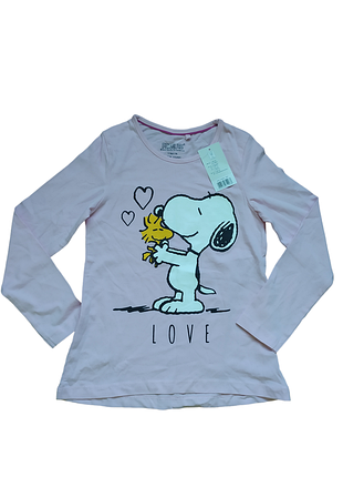 Свитшот, реглан