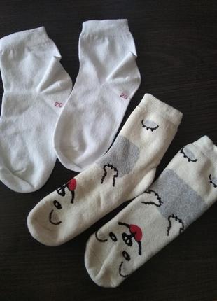 Набір шкарпеток розмір 20-22