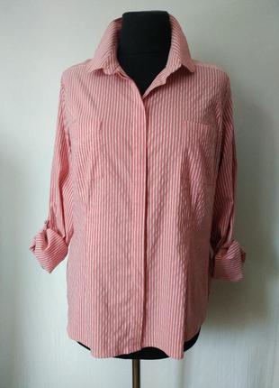 Хлопковая рубашка в полоску next
