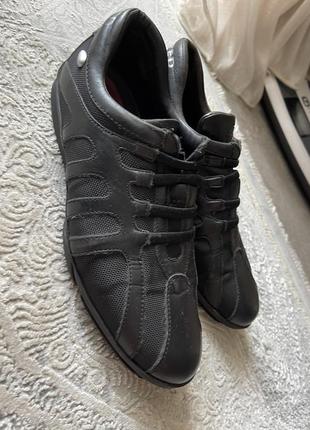 Кожаные итальянские туфли-кроссовки botticelli sport limited2 фото
