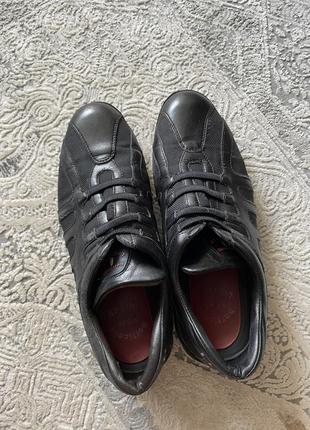 Кожаные итальянские туфли-кроссовки botticelli sport limited3 фото
