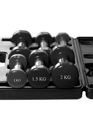 Набір гантелей в кейсі 9 кг. powerplay 4121 fitness dumbells (2шт.*1кг. 2шт.*1,5кг. 2шт.*2кг.)5 фото