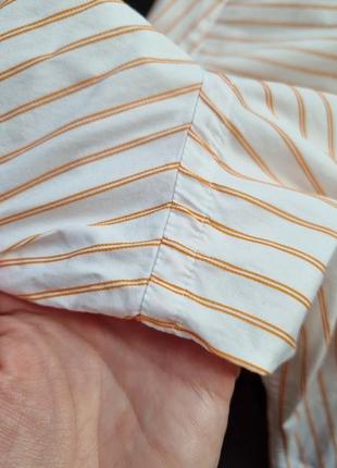 Бавовняна брендова смугаста топова базова біла чоловіча сорочка в помаранчеву смужку massimo dutti l4 фото