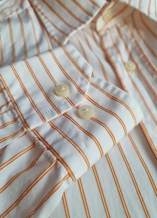 Бавовняна брендова смугаста топова базова біла чоловіча сорочка в помаранчеву смужку massimo dutti l6 фото