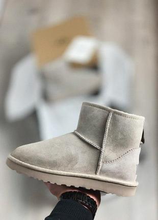 Шикарные женские зимние угги ugg classic mini beige8 фото