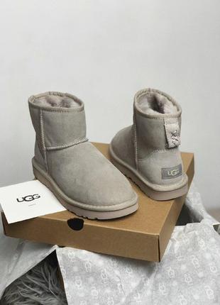 Шикарные женские зимние угги ugg classic mini beige6 фото