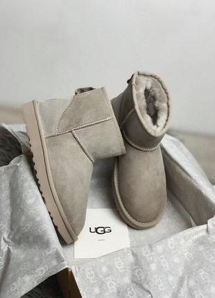 Мягкие и удобные зимние сапоги ugg mini в сером цвете /осень/зима/весна😍5 фото