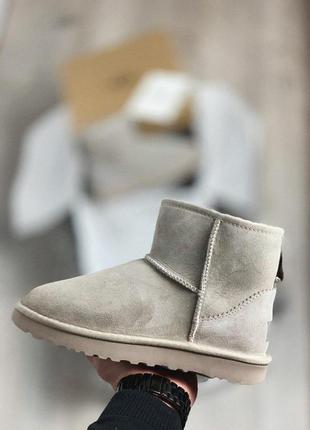 Мягкие и удобные зимние сапоги ugg mini в сером цвете /осень/зима/весна😍8 фото