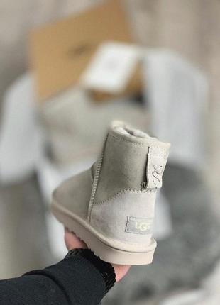 Мягкие и удобные зимние сапоги ugg mini в сером цвете /осень/зима/весна😍9 фото