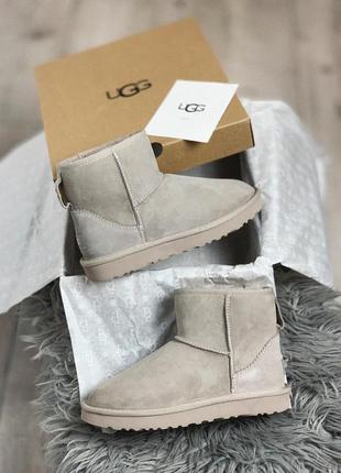 Ugg mini женские меховые сапоги угг в сером цвете /осень/зима/весна😍2 фото