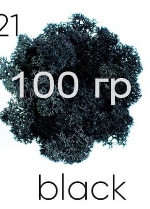 Мох стабилизированный (ягель), черный 21, 100 грамм