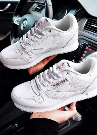 Кросівки reebok classic white білі