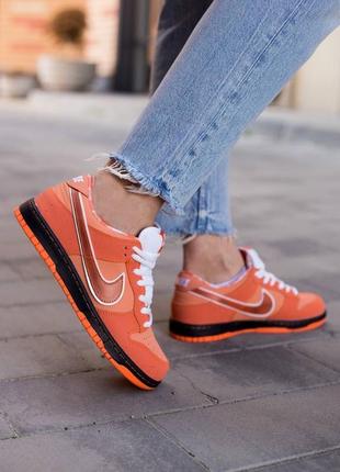 Шикарные кроссовки унисекс nike sb dunk low x concepts lobster orange оранжевые 36-45 р