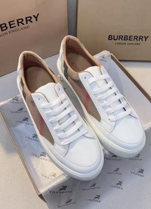 Кеди burberry