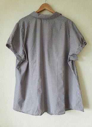 Брендовая удлиненная натуральная  100 % котон блуза рубашка s.oliver8 фото