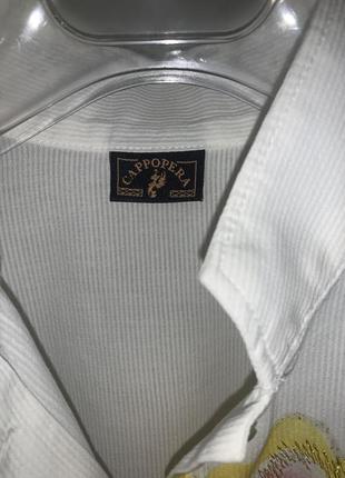 Рубашка блузка cappopera d&g blumarine bogner7 фото