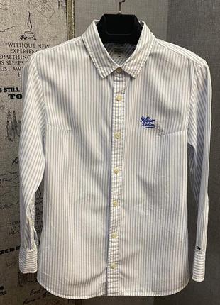 Полосатая рубашка от бренда tommy hilfiger denim