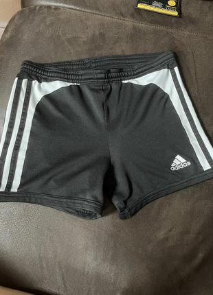 Шорти adidas