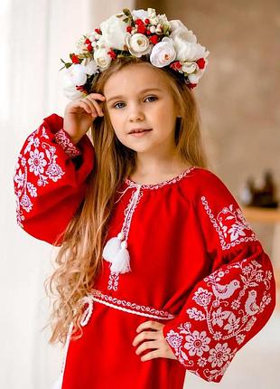 Вишиванка сукня 3