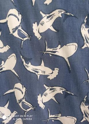 Сорочка з принтом акули4 фото