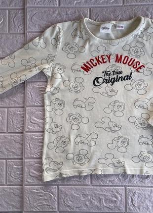 Реглан трикотаж міккі маус 3
