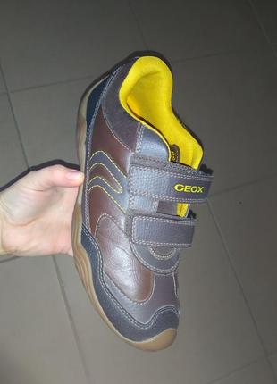 Кросівки geox