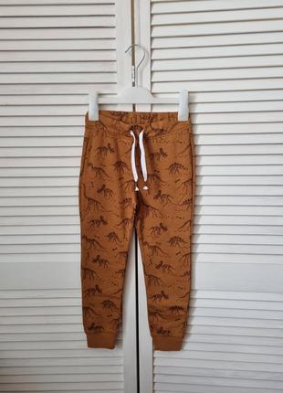 Штаны спортивные с начёсом 🏷️116,🏷️122, 🏷️134