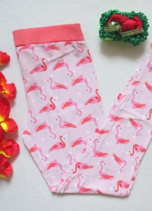 Суперовые хлопковые стрейчевые домашние штаны лосины принт фламинго primark.4 фото
