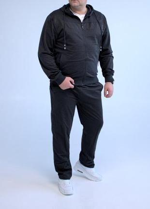 Сірий, спортивний костюм з капюшоном (батал)2 фото