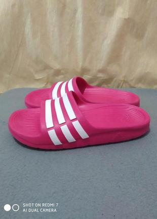 Шлепанцы сланцы adidas k22 фото