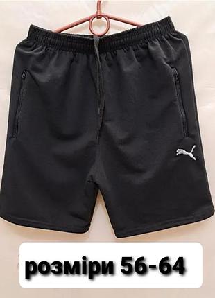 Шорти чоловічі батал 56