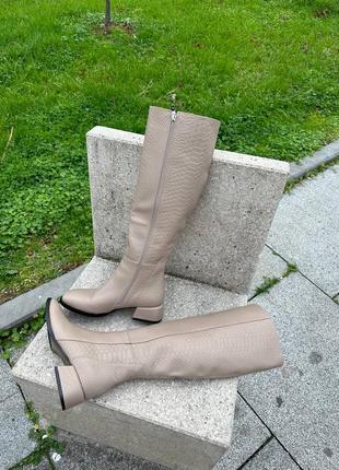 Чоботи класичні жіночі демі-зима шкіра замша