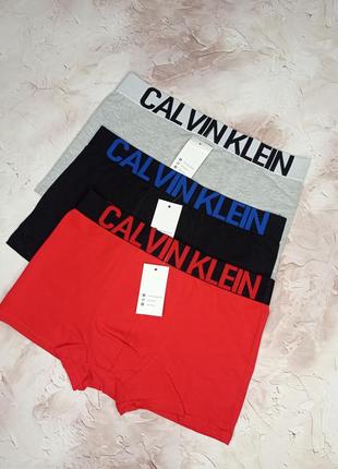 Мужские боксерки calvin klein