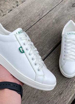 Чоловічі шкіряні кеди lacoste6 фото