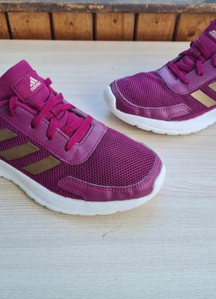 Кроссовки adidas, кроссовки adidas2 фото