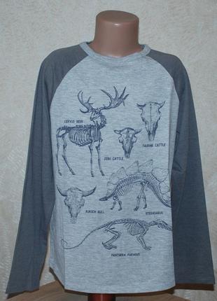 Легенька принтована кофточка на хлопчика бренду h&m / 95%бавовна/