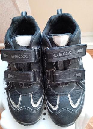 Geox, кроссовки