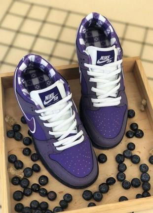 Кроссовки nike sb dunk low purple lobster