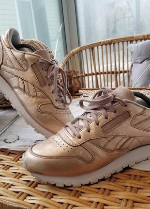 reebok bs7897