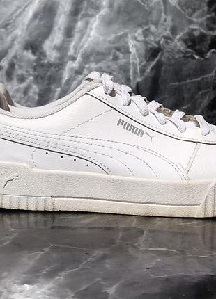 Puma top carina patent