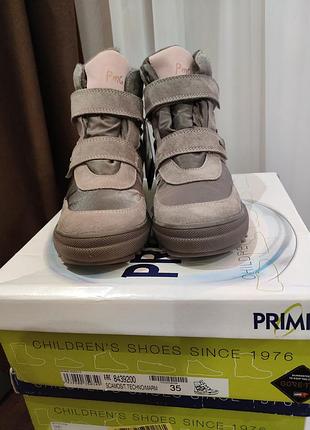 Ботинки зимние мембрана gore-tex2 фото