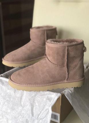 Женские сапоги ugg classic mini suede с натуральным мехом /осень/зима/весна😍