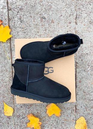 Ugg mini black suede зимние сапоги угги с натуральным мехом /осень/зима/весна😍2 фото