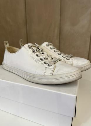 Кеди calvin klein