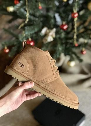 Зимние мужские ботинки ugg 📢