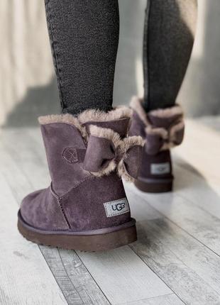 Стильные женские сапоги ugg mini bailey bow в фиолетовом цвете /осень/зима/весна😍6 фото