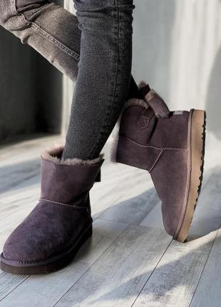 Стильные женские сапоги ugg mini bailey bow в фиолетовом цвете /осень/зима/весна😍4 фото