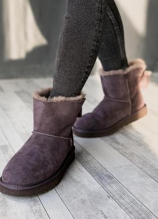 Стильные женские сапоги ugg mini bailey bow в фиолетовом цвете /осень/зима/весна😍3 фото